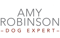 Amy Robinson Dog Expert
